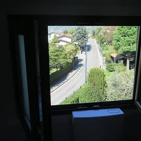 Apartment Art In Flower *